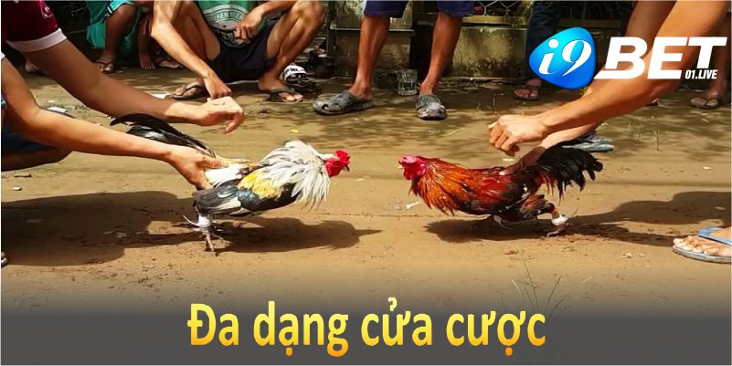 Đa dạng cửa cược là yếu tố tạo nên sức hút của đá gà cựa sắ