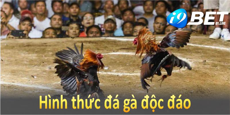 Hình thức đá gà độc đáo này có lịch sử phát triển lâu đời và đầy cuốn hút