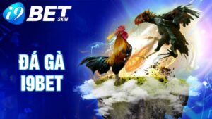 Đá gà i9bet